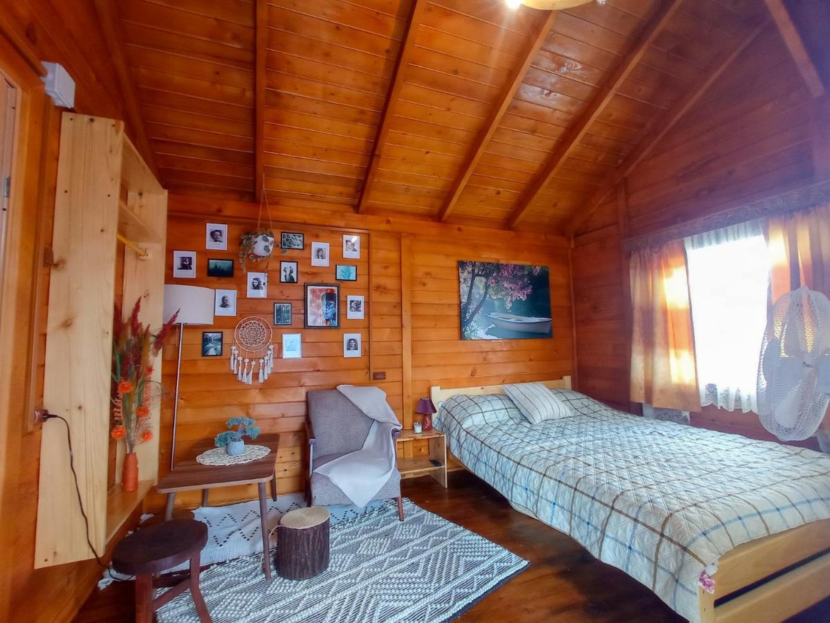 Bed and Breakfast Casa La Agapia Zewnętrze zdjęcie