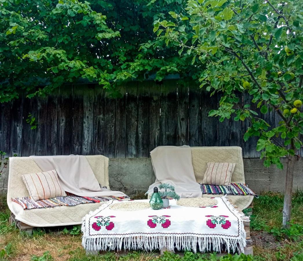 Bed and Breakfast Casa La Agapia Zewnętrze zdjęcie
