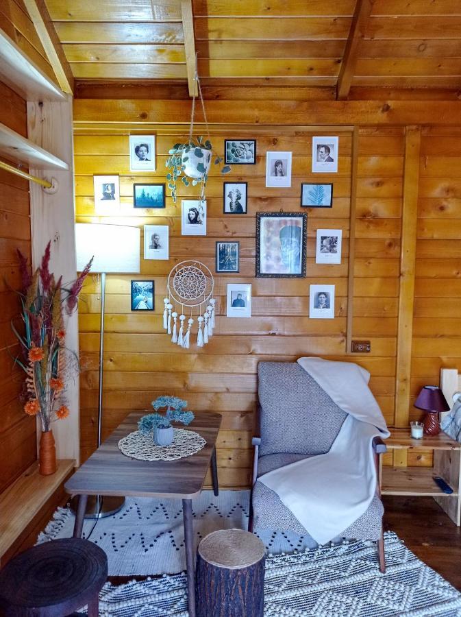 Bed and Breakfast Casa La Agapia Zewnętrze zdjęcie